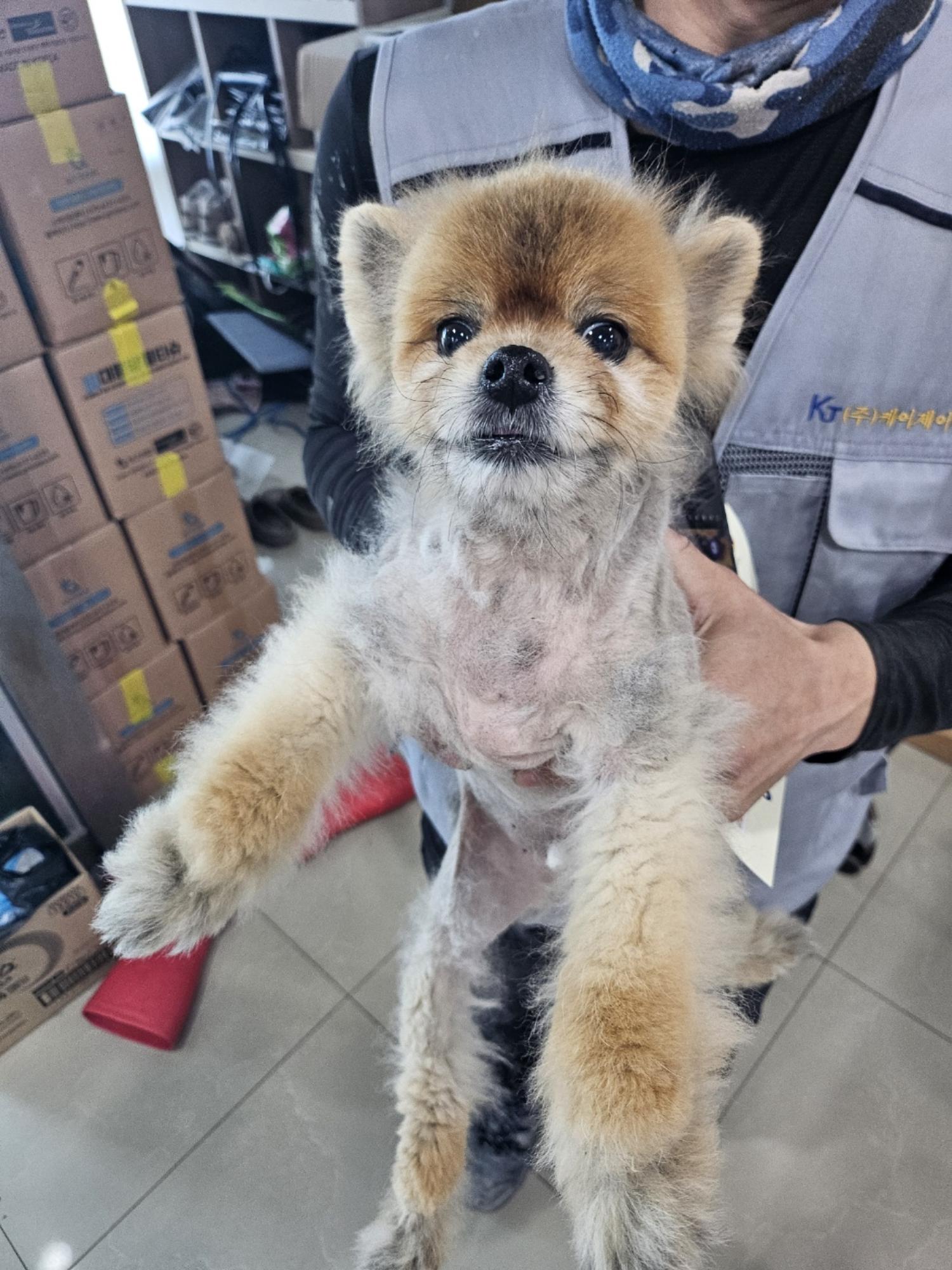 반려동물보호센터_443571202401550